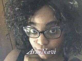 AriaNavi