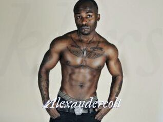 Alexandercolt