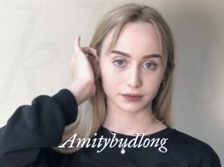 Amitybudlong