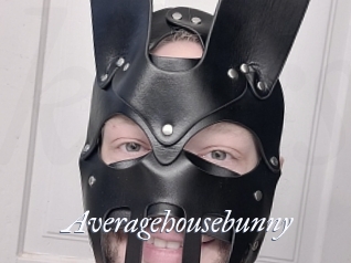 averagehousebunny Kei Harde Sex
