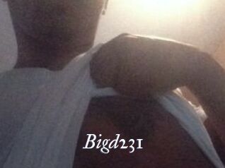 Bigd231