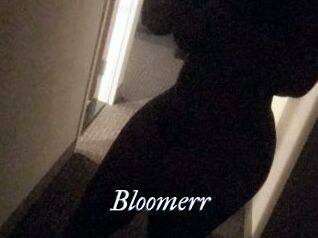Bloomerr