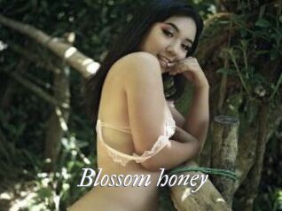 Blossom_honey