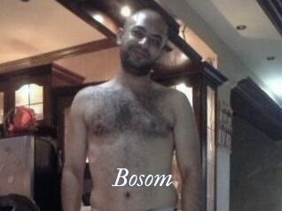 Bosom