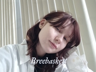 Breebaskett