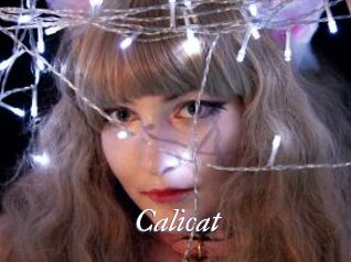 Calicat