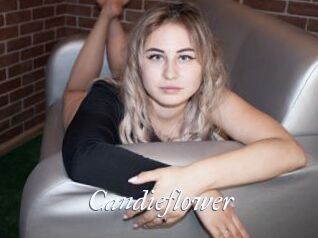 Candieflower