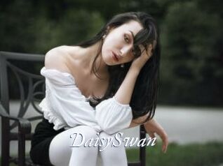 DaisySwan