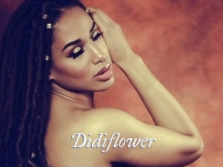 Didiflower