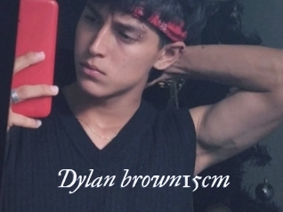 Dylan_brown15cm