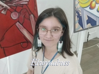 Elwynabuss