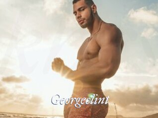 Georgeclint