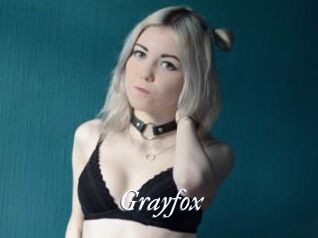 Grayfox