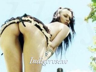 Indigorosexo