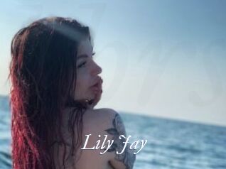Lily_Jay