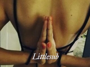 Littlesub
