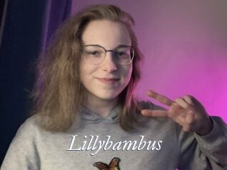 Lillybambus