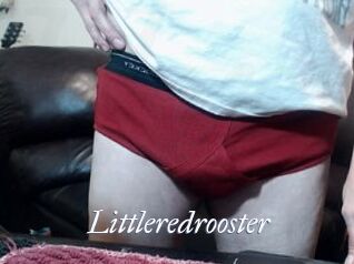 Littleredrooster