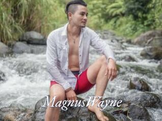 MagnusWayne
