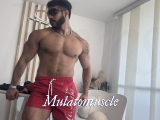 Mulatomuscle