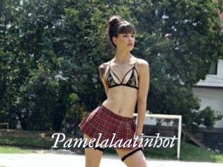Pamelalaatinhot