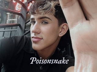 Poisonsnake