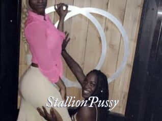 StallionPussy