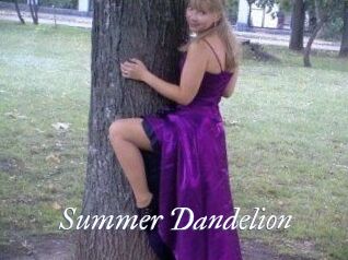 Summer_Dandelion