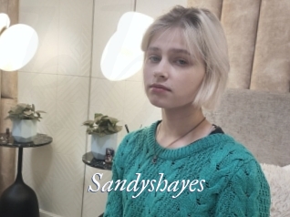 Sandyshayes