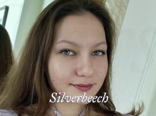 Silverbeech