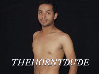 THEHORNYDUDE