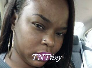 T_N_Ttiny