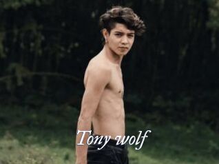 Tony_wolf