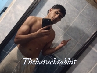Thebarackrabbit