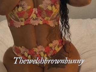 Thewelshbrownbunny