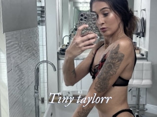 Tiny_taylorr