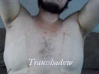 Transshadow