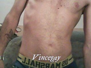 Vincegay