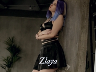 Zlaya